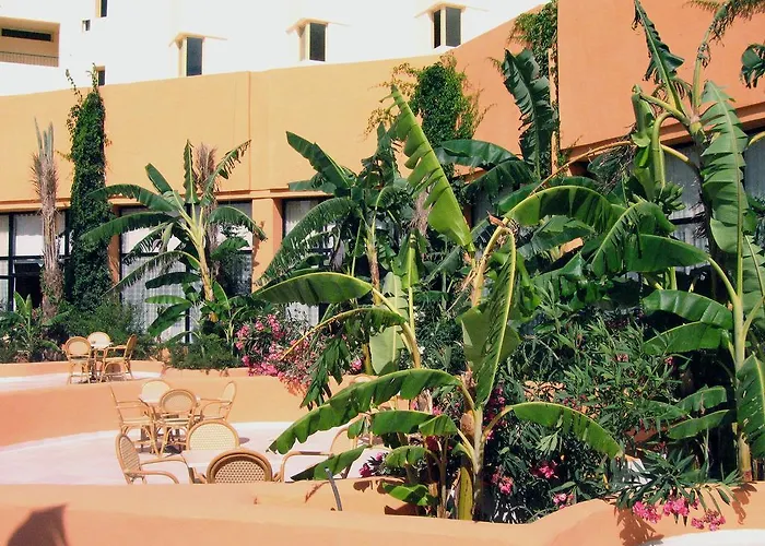 African Queen Hammamet Yasmine